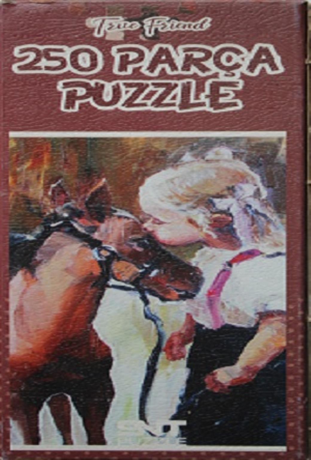 250 Parça Puzzle True Friends