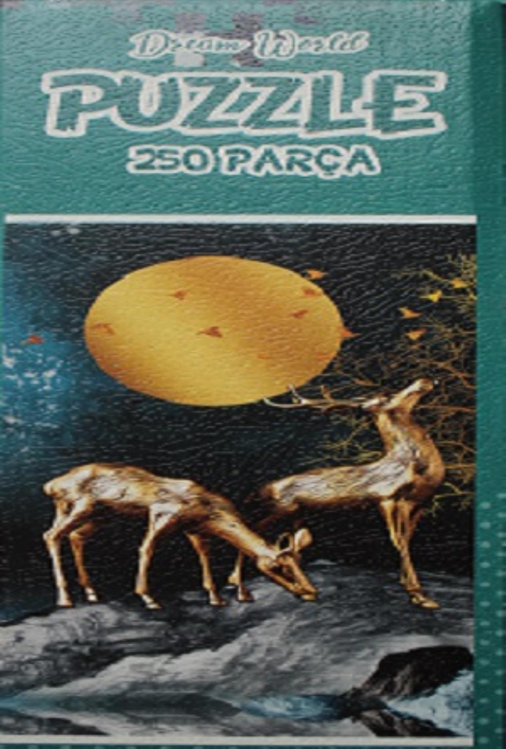 250 Parça Puzzle Dream World