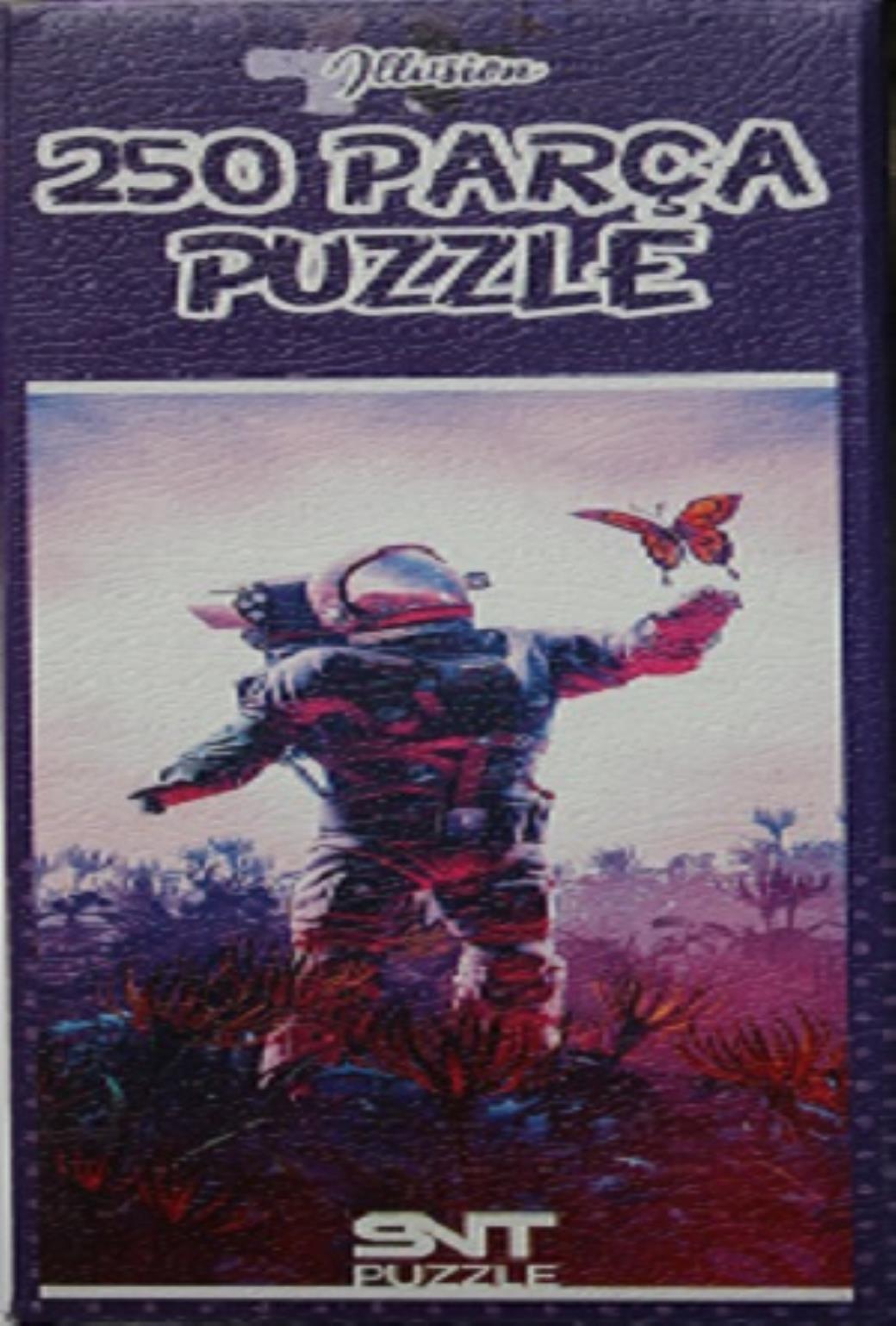 250 Parça Puzzle - Illusion