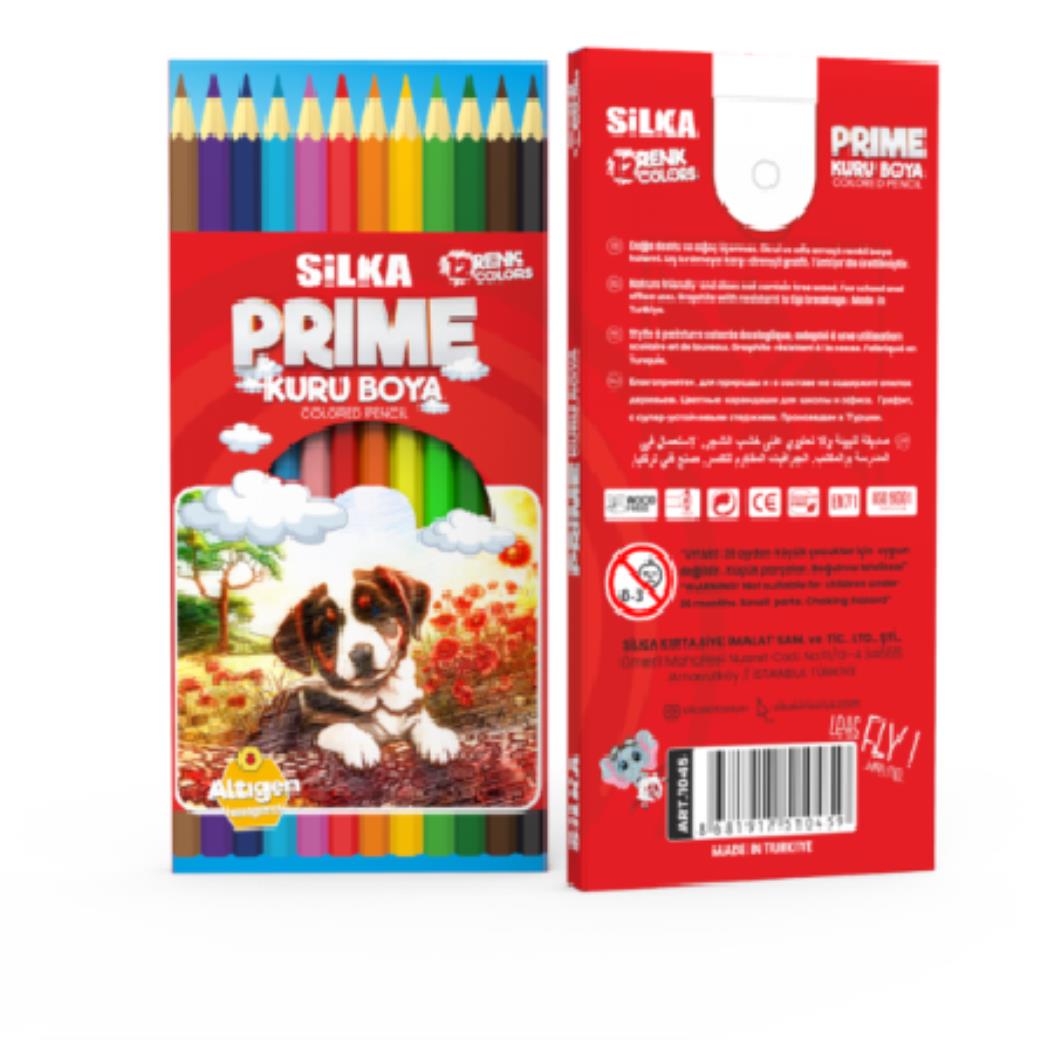 Silka Hex Prime Kuru Boya 12li (12 Adet)