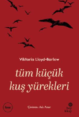 Tüm Küçük Kuş Yürekleri