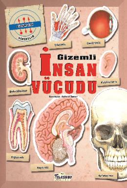 Gizemleri Öğrenelim Gizemli İnsan Vücudu