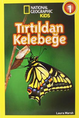 Tırtıldan Kelebeğe - Seviye 1