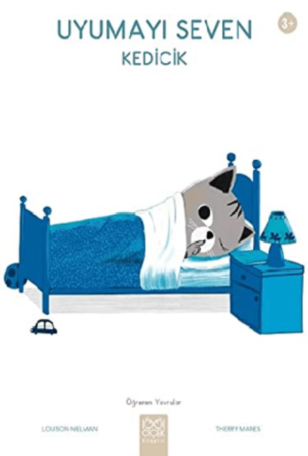 Uyumayı Seven Kedicik Öğrenen Yavru