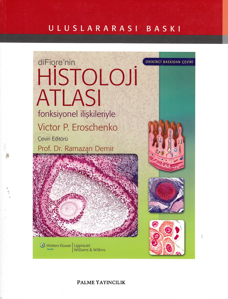 diFiore nin Histoloji Atlası