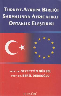 Türkiye Avrupa Birliği Sarmalında Ayrıcalıklı Ortaklık Eleştirisi