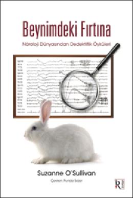 Beynimdeki Fırtına