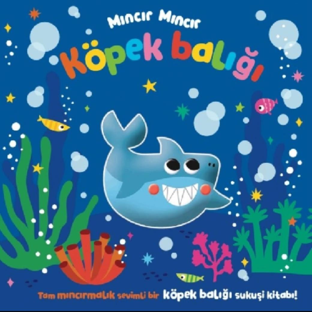 Mıncır Mıncır Köpek Balığı Sukuşi