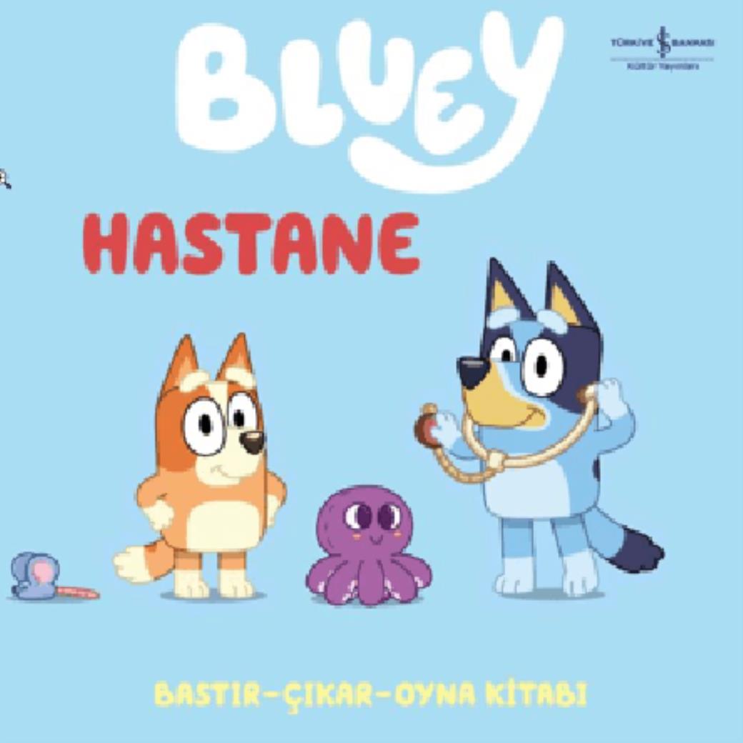 Bluey Hastane (Bastır–Çıkar–Oyna Kitabı Ciltli)
