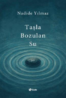 Taşla Bozulan Su