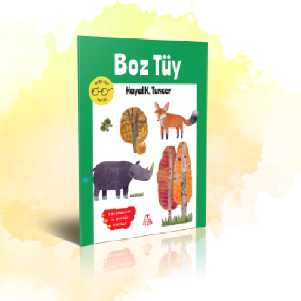 Boz Tüy