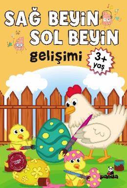 Sağ Beyin-Sol Beyin Gelişimi 3+ Yaş