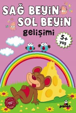Sağ Beyin-Sol Beyin Gelişimi