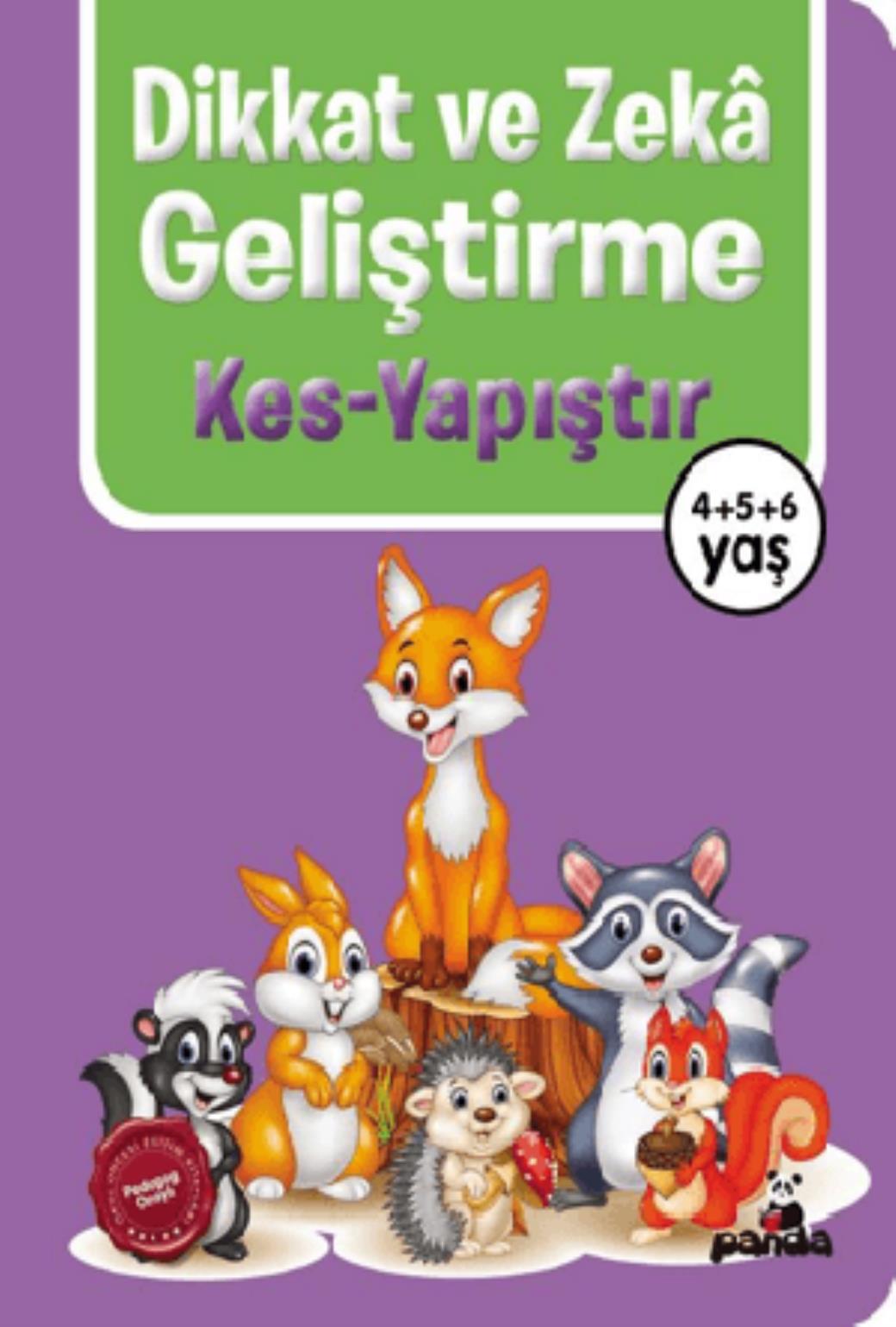 Dikkat ve Zeka Geliştirme Kes Yapıştır