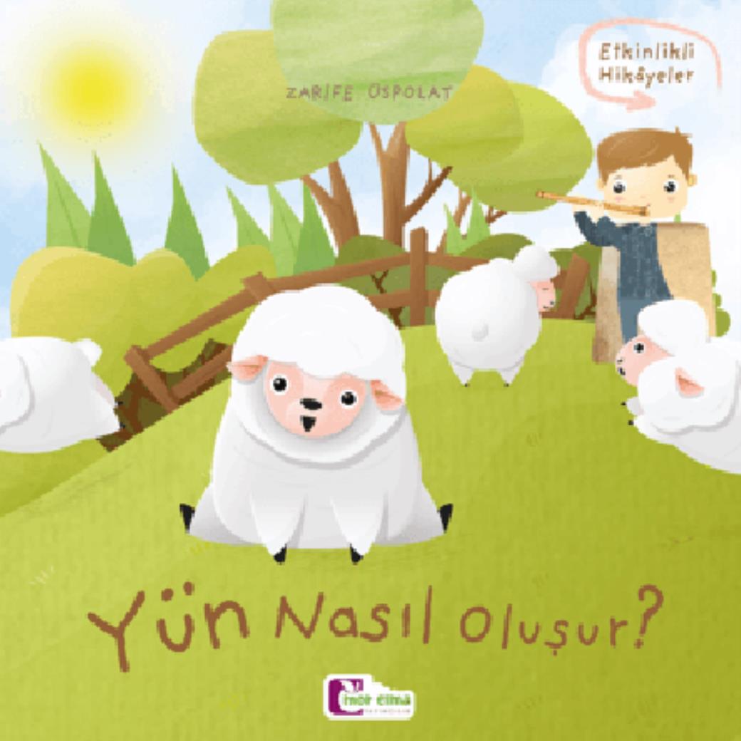 Yün Nasıl Oluşur?