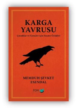 Karga Yavrusu