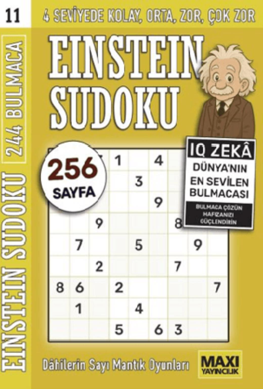 Einstein Sudoku 11