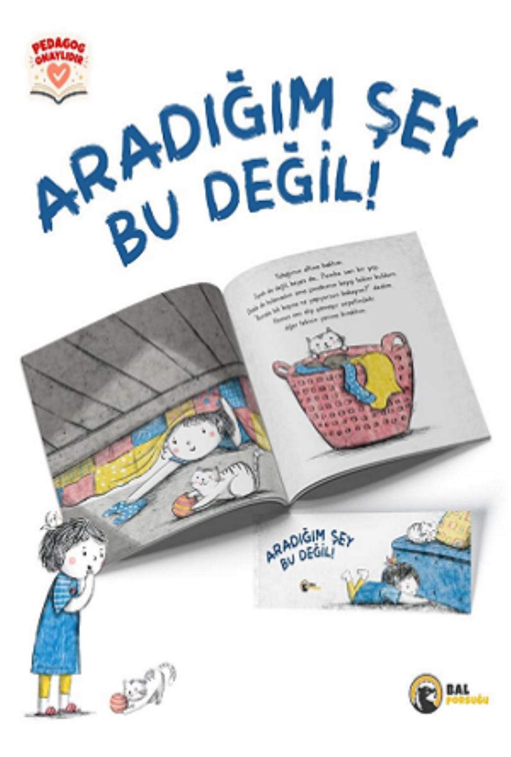 Aradığım Şey Bu Değil