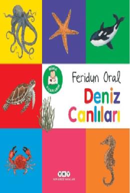 Minik Kitaplarım Deniz Canlıları