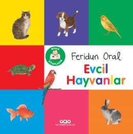 Minik Kitaplarım Evcil Hayvanlar