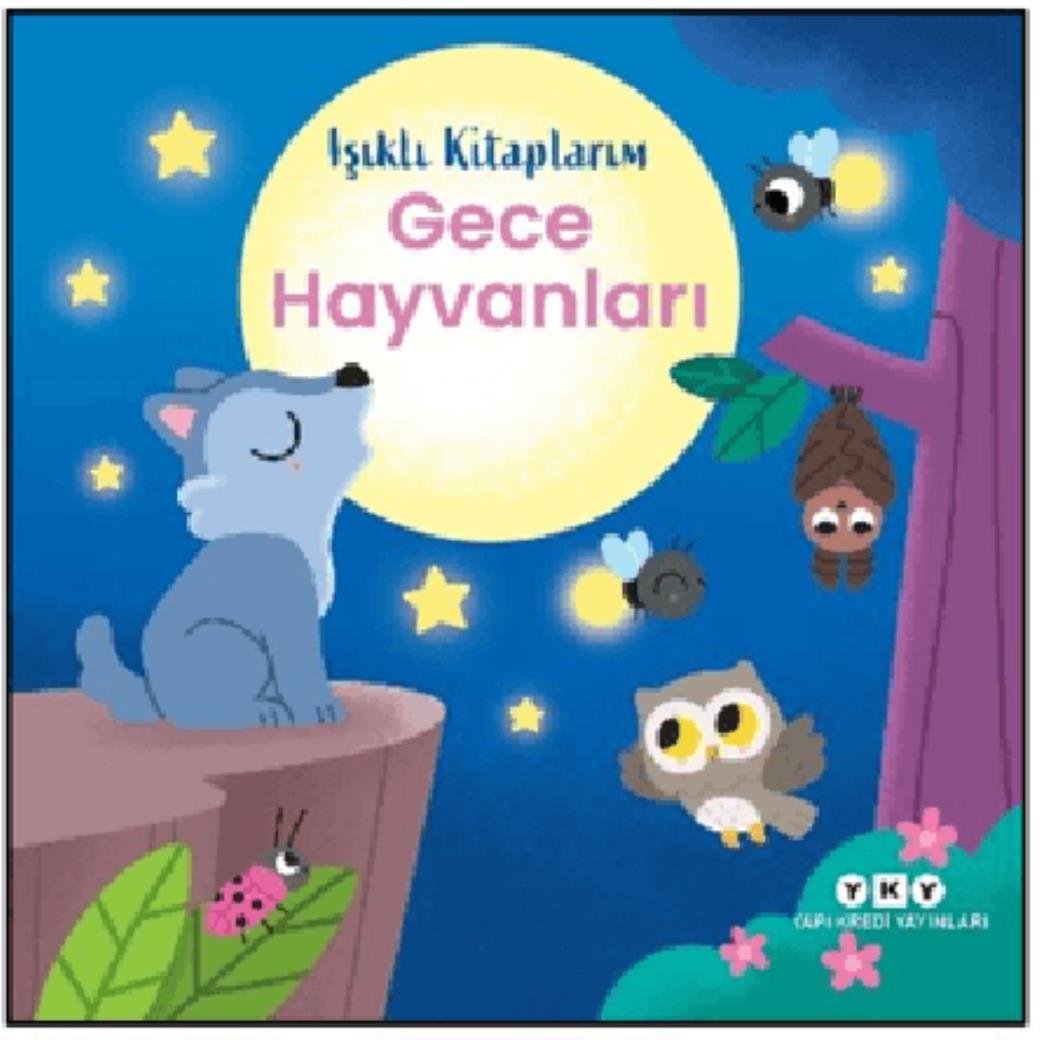 Işıklı Kitaplarım Gece Hayvanları (Ciltli)