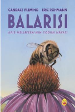 Balarısı